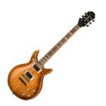 EPIPHONE DC PRO MOHAVE FADE 01