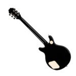 EPIPHONE DC PRO WILD IVY 02