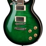 EPIPHONE DC PRO WILD IVY 04