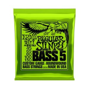 ERNIE BALL BASS 5 STR REGULAR SLINKY 01 ERNIE BALL BASS 5 STR REGULAR SLINKY 01