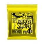 ERNIE BALL BEEFY SLINKY 01