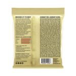 ERNIE BALL EARTHWOOD EXTRA LIGHT 02