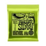 ERNIE BALL REGULAR SLINKY 01