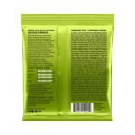 ERNIE BALL REGULAR SLINKY 02