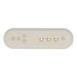 ROLAND BTM 1 SPEAKER 07