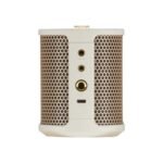 ROLAND BTM 1 SPEAKER 09