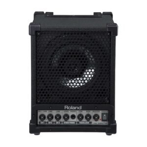 ROLAND CM 30 SPEAKER 01 ROLAND CM 30 SPEAKER 01