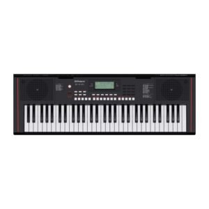 ROLAND E X10 ARRANGER KEYBOARD 01 ROLAND E X10 ARRANGER KEYBOARD 01