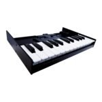 ROLAND K 25M KEYBOARD UNIT 01