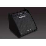 ROLAND PM 200 PERSONAL MONITOR 04