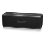 TANNOY LIVE MINI 10